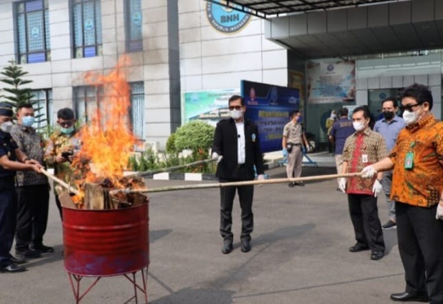Pemusnahan 2 kilogram ganja oleh BNNP Banten. (Ist)