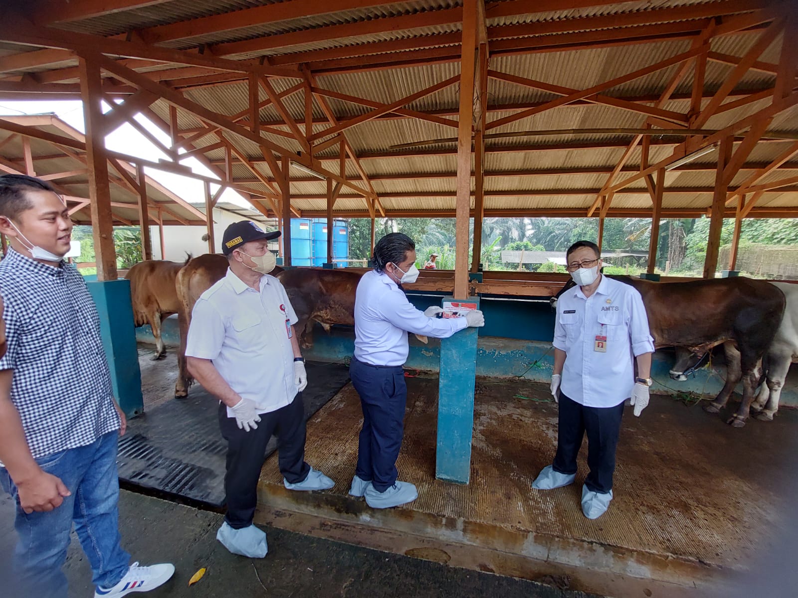 Dinas Ketahanan Pangan, Pertanian dan Perikanan Kota Tangerang Selatan dan Pemprov Banten saat mengecek kesehatan hewan kurban di Tangsel. (tangselpos.id/rmn)