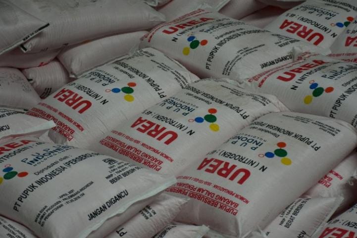 Kasihan Petani, Kini Cuma Dapat Subsidi 2 Jenis. (Ist)