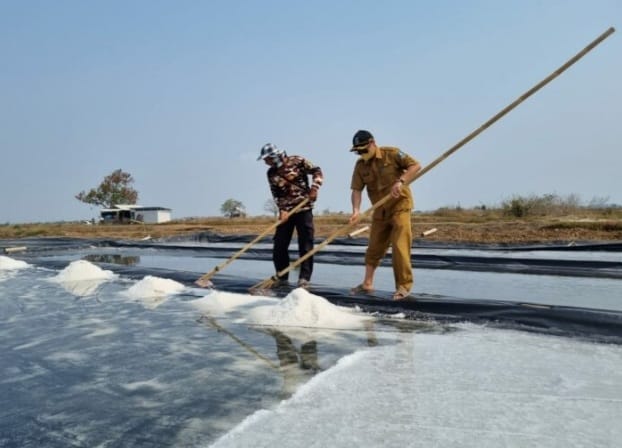 Produksi Garam di Kabupaten Serang Mengalami Penurunan Sejak 2020 Foto : Istimewa