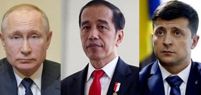 Rusia-Ukraina Buka Ekspor Gandum, Lobi Jokowi Berhasil. (Ist)