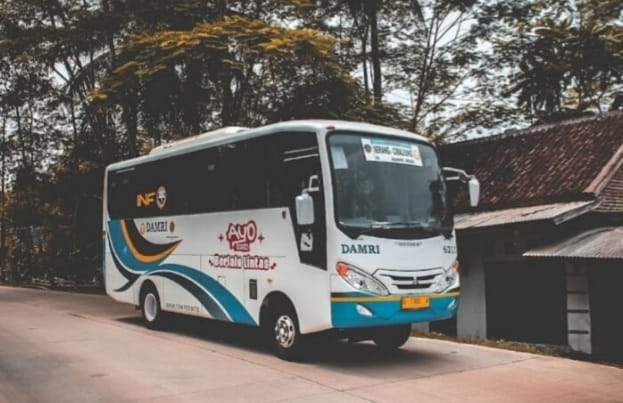 3 Trayek Damri Siap Dioperasikan 3 Trayek Damri Siap Dioperasikan. (Ist)