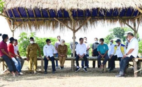 Presiden Jokowi pada acara Food Estate berbasis mangga di Gresik, Jawa Timur. Foto : Setpres