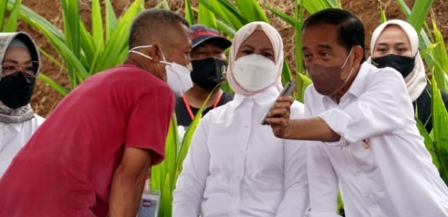 Presiden Jokowi berdialog dengan warga pada acara penabaman kelapa genjah di Boyolali, Jawa Tengah. Foto : Setpres