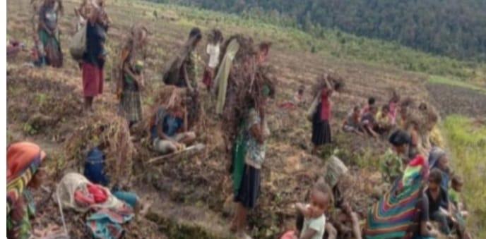 Warga Mati Kelaparan Bukan Kabar Bohong Warga Kuyawagep, Kabupaten Lanny Jaya, Papua. (Ist)