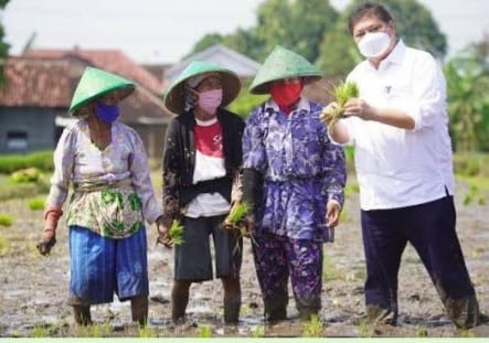 Menko Perekonomian Airlangga Hartanto. (Ist)