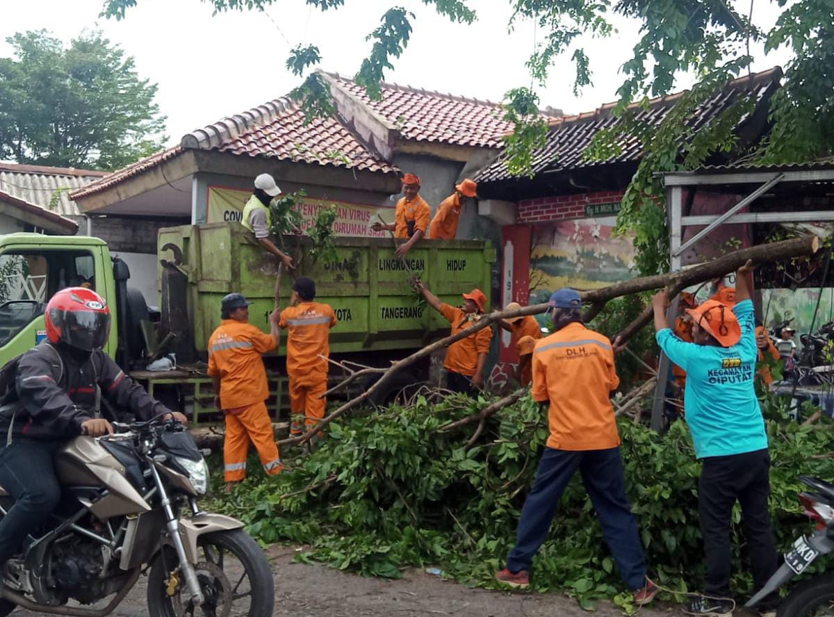 DLH Tangsel dan Pesapon Korwil Ciputat membersihkan pohon yang tumbang akibat hujan angin kemarin. (tangselpos.id/ist)