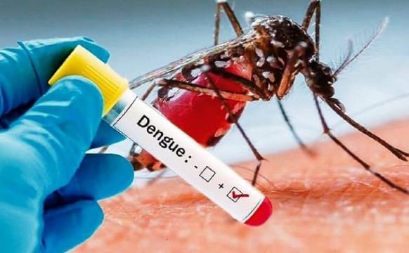Hingga September 2022, Kasus DBD Di Tangsel Sebanyak 577 Ilustrasi nyamuk DBD