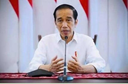 Presiden Jokowi. (Ist)