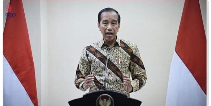 Jokowi: Dengan Sinergi, Kita Mampu Tumbuh Lebih kuat (Foto : Istimewa)
