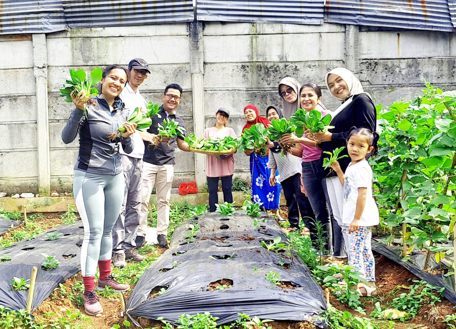 Lurah Perigi Baru Ade Helmi & Istri, Ikut Panen Pokcay Di Athia Park Bintaro Ketua Tim penggerak PKK Kelurahan Perigi Baru, mengunjungi kebun sayuran dilingkungan RT 05/07 perumahan Athia Park Bintaro, Minggu (18/9/2022). (tangselpos.id/rmn)