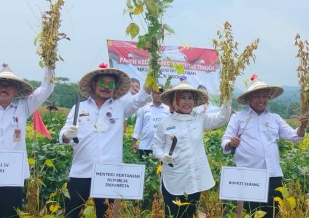 Mentan Syahrul Yasin Limpo (no 2 kiri) dan Bupati Serang saat melakukan panen kacang kedelai di Desa Rancasanggal, Kabupaten Serang. Foto : Istimewa