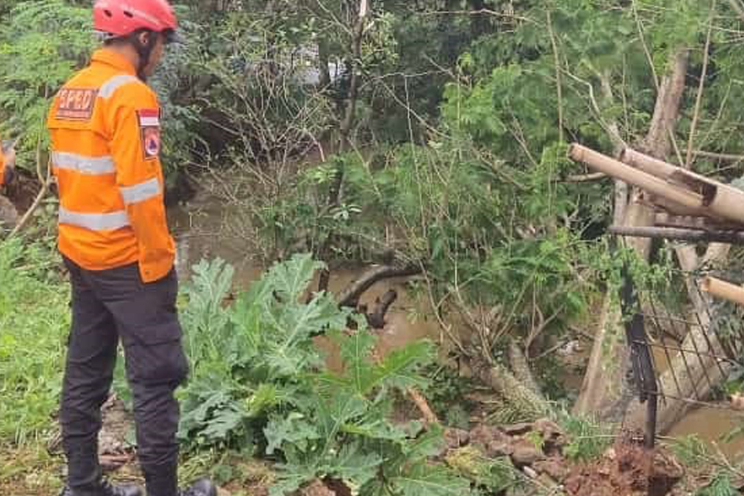 Petugas BPBD Tangsel saat mengevakuasi pohon tumbang di aliran Kali Angke. (ist)