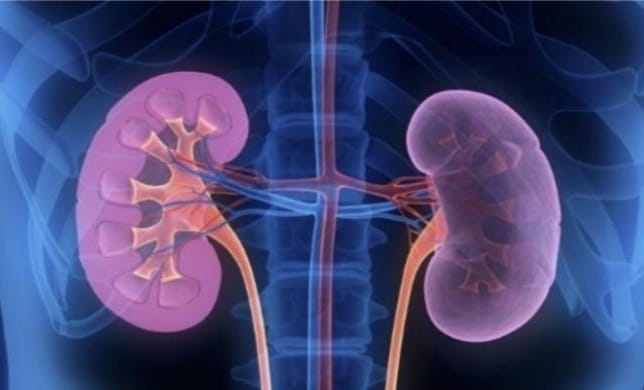 Jangan Sembarang Beli Obat, Tanpa Rekomendasi Tenaga Kesehatan Foto : Istimewa