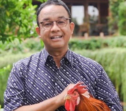Kenapa Ayam Berkokok Matanya Menutup? Karena Sudah Hafal Teksnya Anies Baswedan. (Ist)