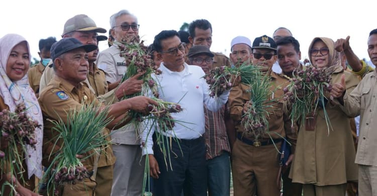 Moeldoko Pastikan Ketersediaan Bawang Merah Di Bima Aman Kepala Staf Kepresidenan Moeldoko saat panen bawang merah di Bima, NTB. Foto : Istimewa