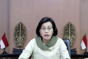 Menteri Keuangan Sri Mulyani. (Ist)