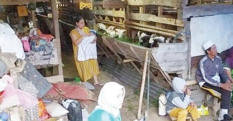 Sedih, Korban Gempa Cianjur Ngungsi Di Kandang Kambing (Foto : Istimewa)