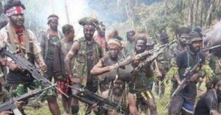 9 Hari, Teroris Papua Bunuh 5 Orang Kelompok kriminal bersenjata Papua. (Ist)