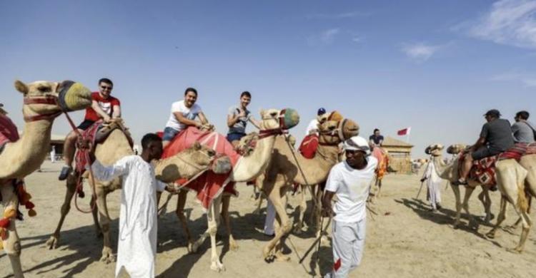 Flu Unta, Penyakit Yang Bikin Inggris Pelototi Warganya Yang Balik Dari Qatar Wisata Unta. (Ist)