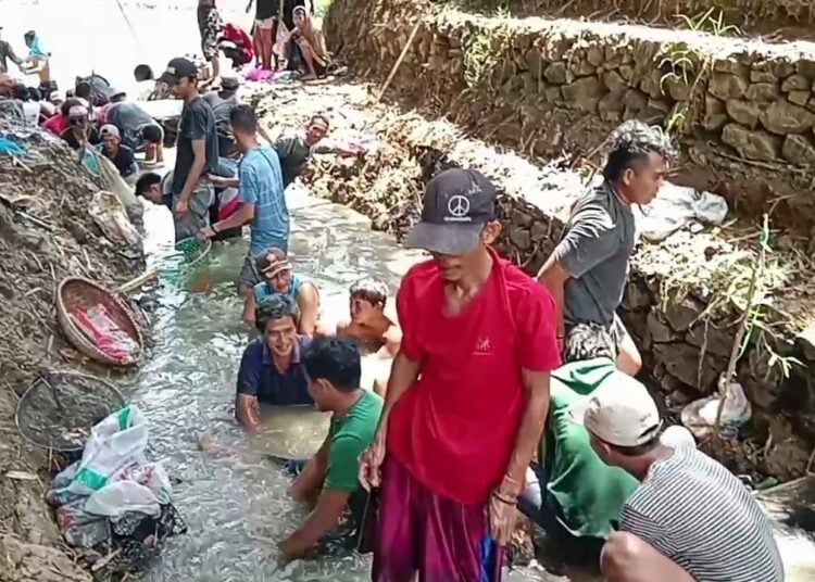 Warga beramai-ramai menangkap ikan yang muncul di Sungai Ciujung. Foto : Istimewa