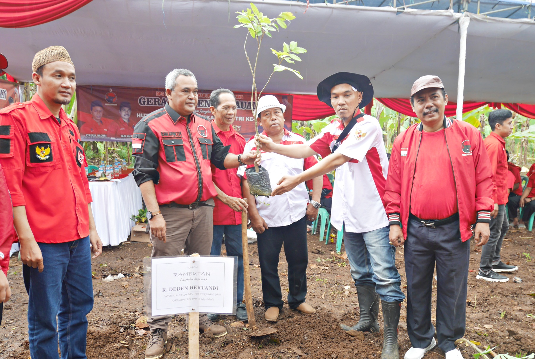 DPC PDIP Pandeglang Tanam Pohon di Kawasan Stadion Badak Kader PDIP melakukangerakan penghijauan di kawasan Stadion Badak, Kelurahan Kuranten, KecamatanMajasari, Pandeglang, Sabtu (28/1/2023).(Ari Supriadi/Tangsel Pos)
