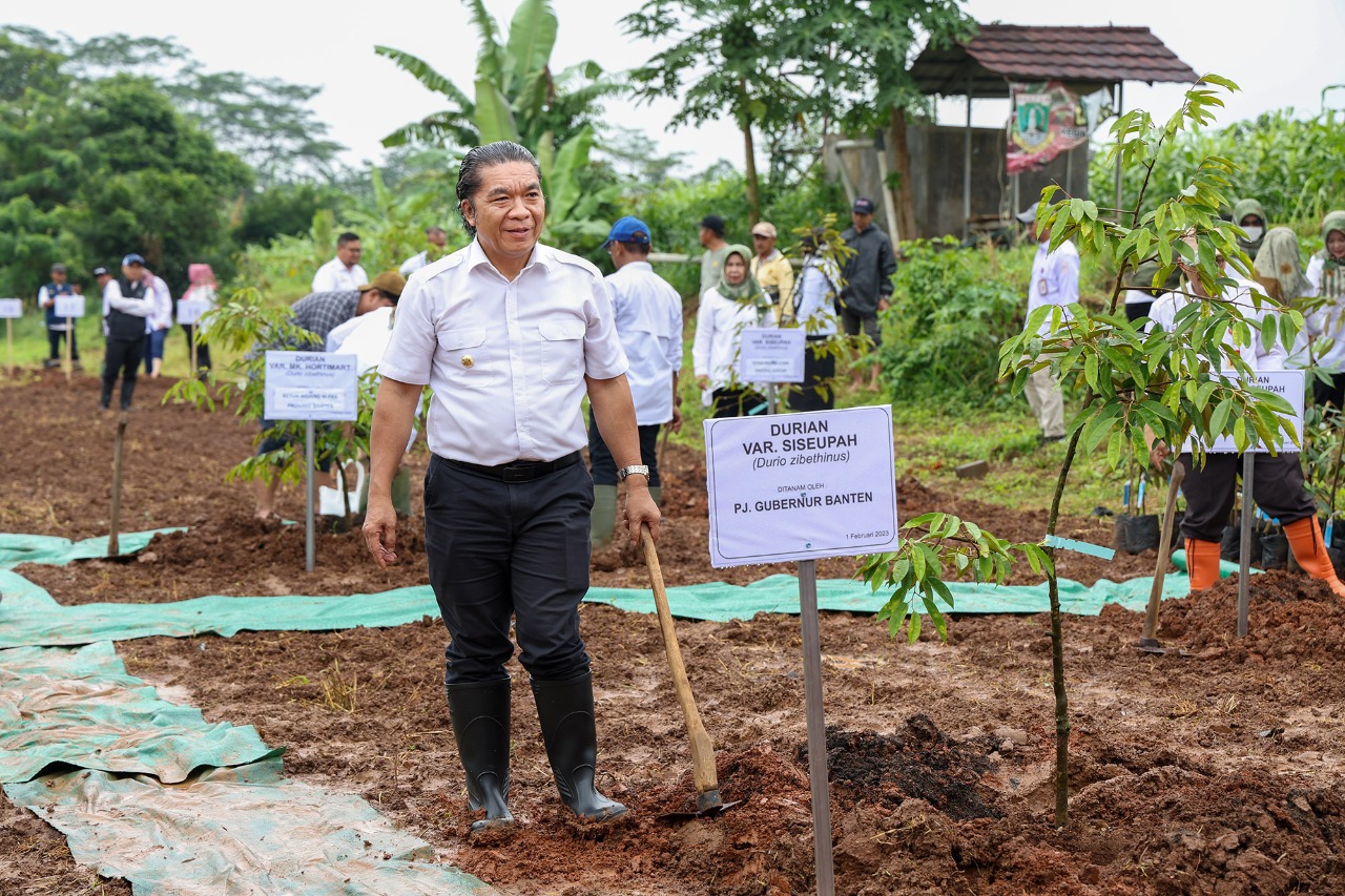 Pj Gubernur Banten Al Muktabar Pilih Tanaman Durian Lokal foto : Ist
