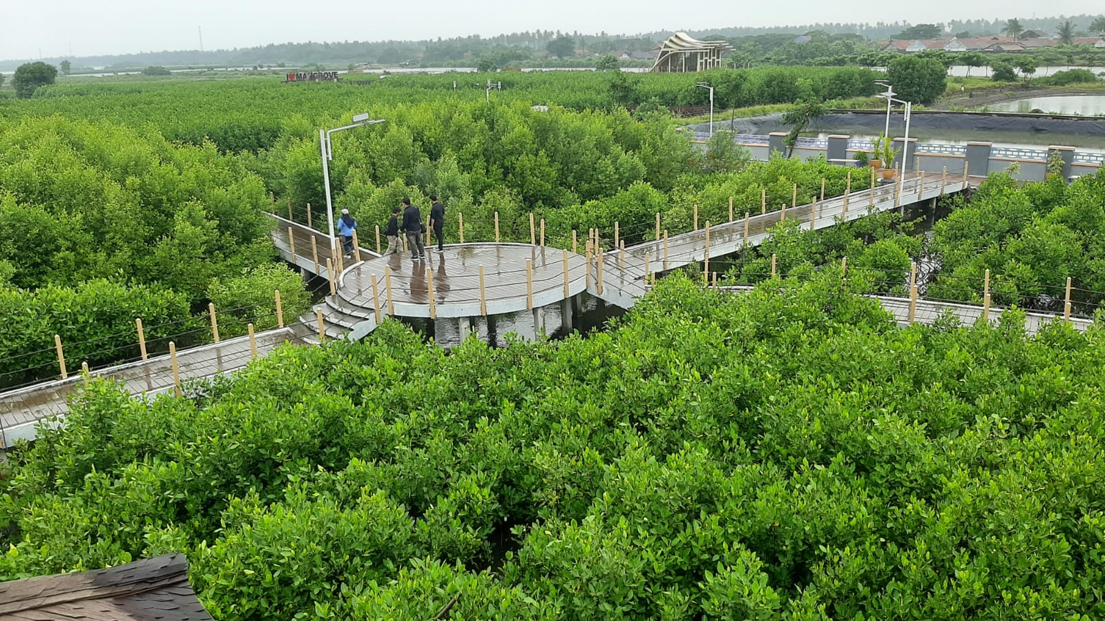 Dukung Eco-Education dan Eco-Tourism di Ketapang-Urban Aquaculture, Tanam Mangrove Capt : nampak eco tourism di ketapang urban aquaculture. (Ist)