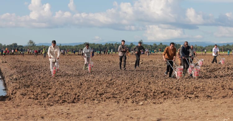 Kunjungi Papua, Jokowi Dan Prabowo Kompak Tanam Jagung Di Food Estate Keerom Presiden Jokowi saat menanam jagung diarea food estate Keerom, Papua. (Ist)
