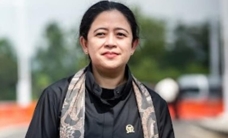 Serang Pribadi Puan Maharani, PDIP Kecam Video BEM UI Foto : Ist