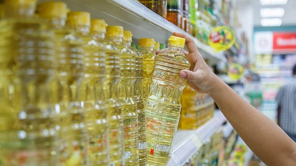 Pengusaha Mau Mogok Jual Migor (Foto : Istimewa)