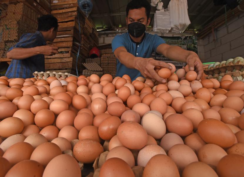 Pedagang telur ayam Mulai mengeluhkan kenaikan Harga. Kenaikan Harga ini sempat membuat beberapa pedagang sepi pembeli. (dra)