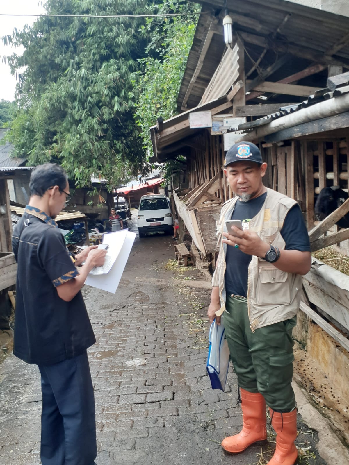 Pemkot Pastikan Hewan Kurban di Tangsel Bebas Virus Lato-lato Foto : Ist