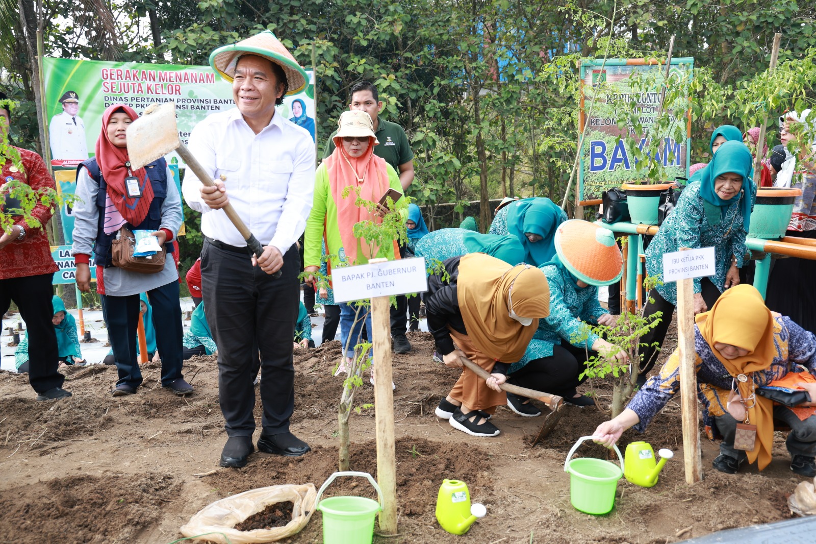 Pj Gubernur Banten Al Muktabar Luncurkan Gerakan Menanam Sejuta Pohon Kelor Foto : Humas Pemprov