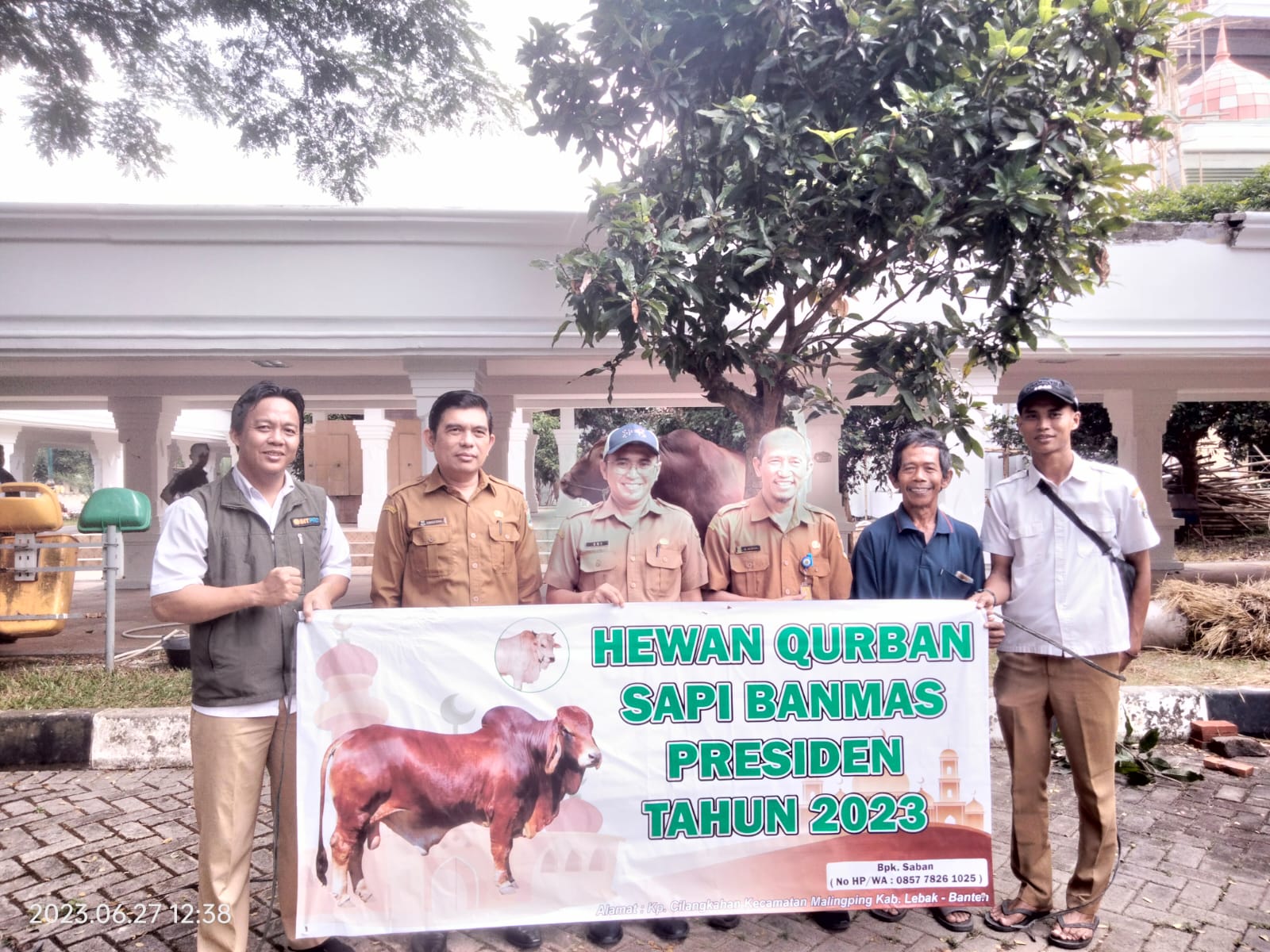 Provinsi Banten Terima Bantuan Hewan Kurban Sapi dari Presiden Joko Widodo Foto : Ist