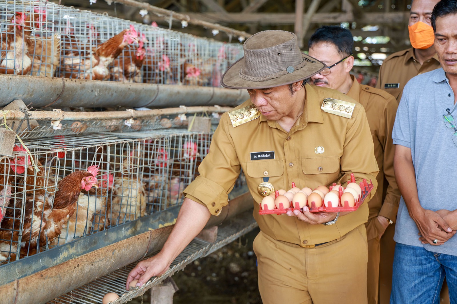 Usai Sidak Pasar Rau, Pj Gubernur Banten Al Muktabar Tinjau Peternakan Ayam Petelur Foto : Humas Pemprov