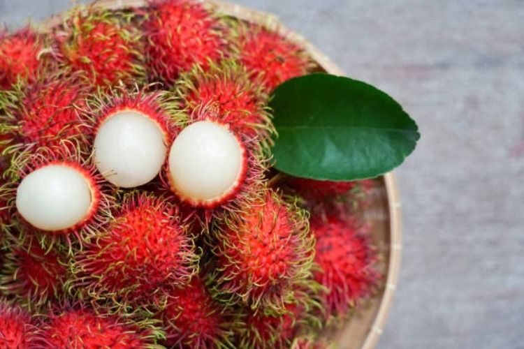 Beragam Manfaat Buah Rambutan, Salah Satunya Mencegah Kanker Foto : Ist