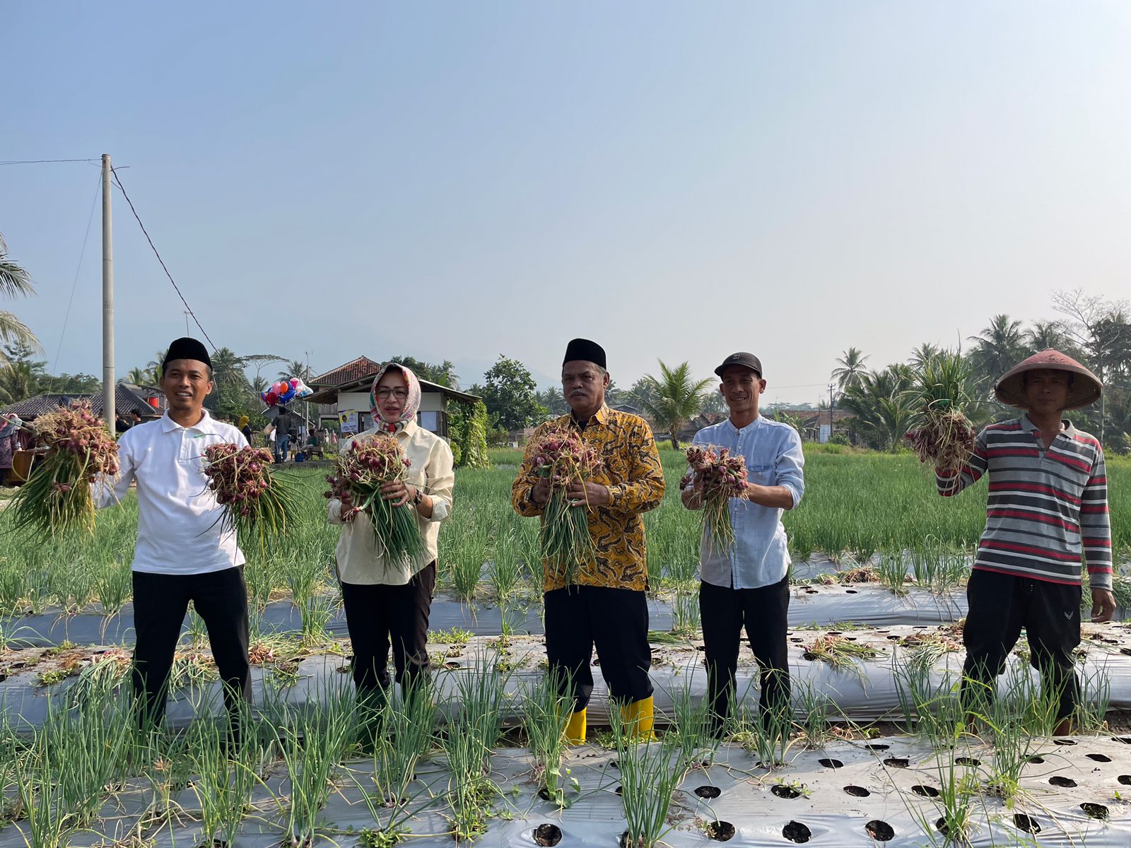 Bersama Petani, Airin Rachmi Diany Panen Bawang Merah Airin Rachmi Diany panen bawang merah bersama petani di Banjar, Pandeglang, Minggu (31/7). Foto : Ist
