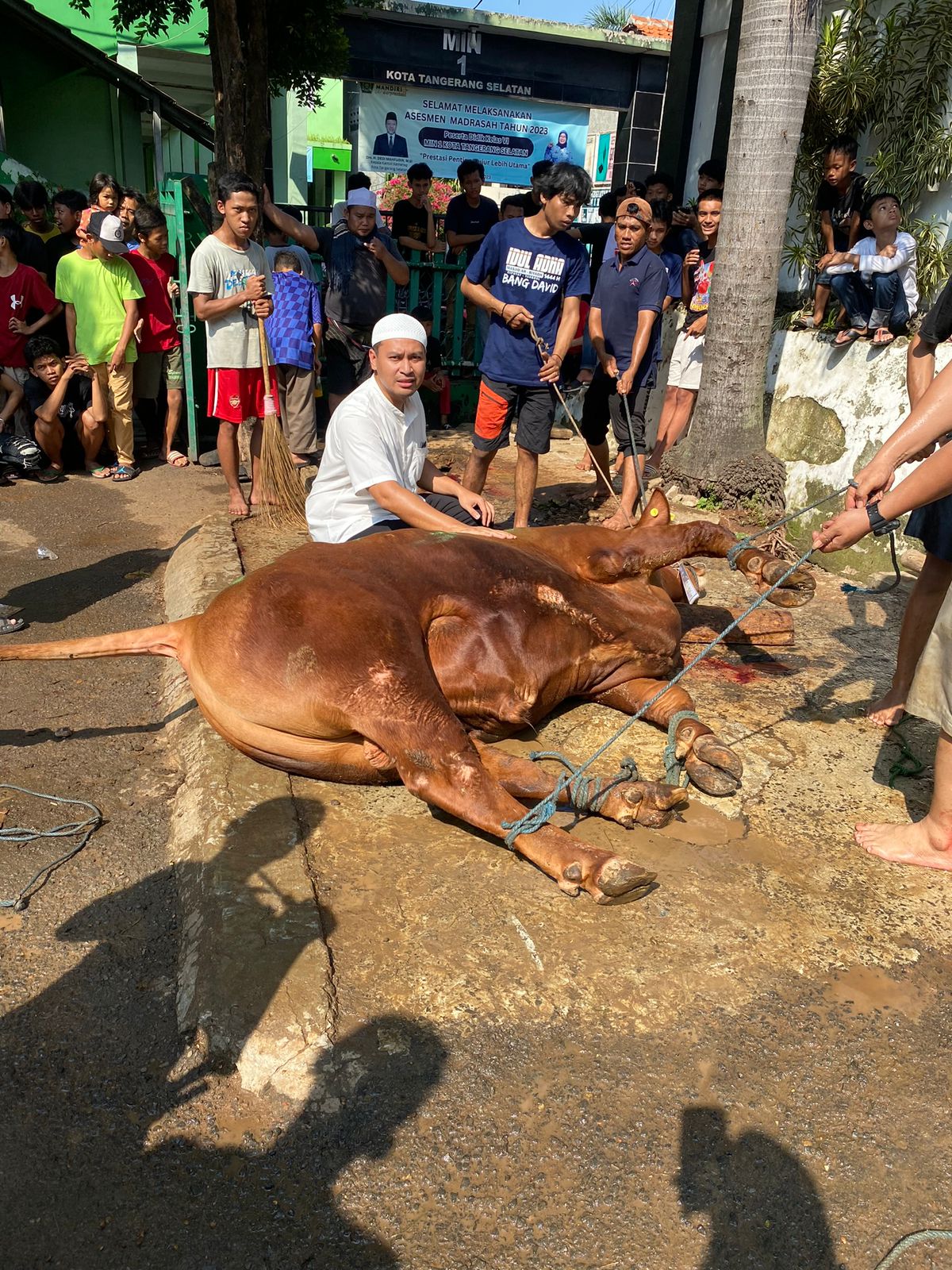 Gelar Sayembara Seekor Kambing Super Kembali viral, Muhamad David octavian membagikan kurban sebanyak 4,85 ton pada kurban Idul Adha Aksinya itu tuai pujian warganet.(dra)