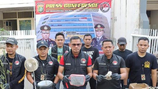 Terciduk, Wanita di Jakbar Eksperimen Tanam Ganja Hidroponik Foto : Ist