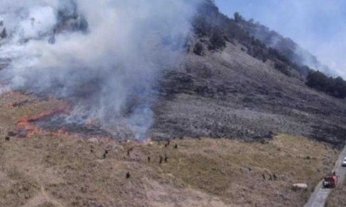 Bukit Teletubbies Kebakaran, Seluruh Pintu Masuk Gunung Bromo Ditutup Foto : Ist