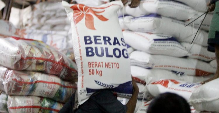 Darurat, Negara Harus Cari Beras Foto : Ist