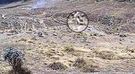 Kebakaran di Gunung Gede Diduga Disengaja, Sosok Putih Terekam CCTV Foto : Ist