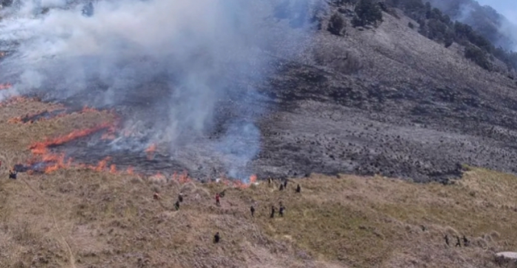 Kebakaran Lagi, Sebagian Akses Menuju Gunung Bromo Ditutup Sementara Foto : Ist