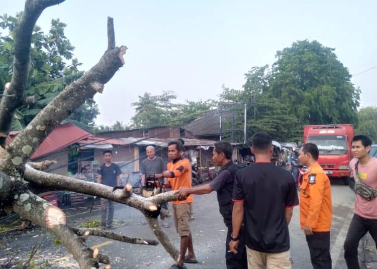 Cuaca Ekstrim di Pandeglang Menelan Korban Foto : Ist