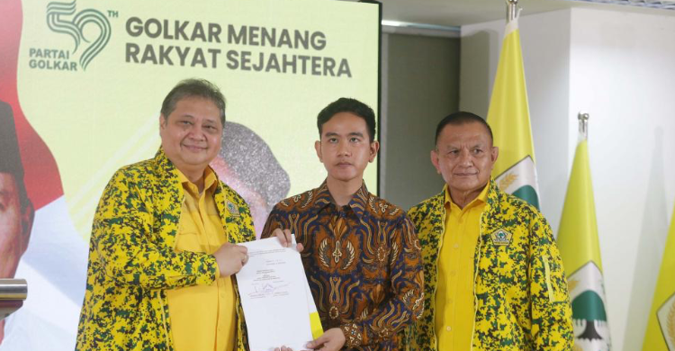 Gibran Dicawapreskan Beringin, Banteng Masih Kalem Foto : Ist