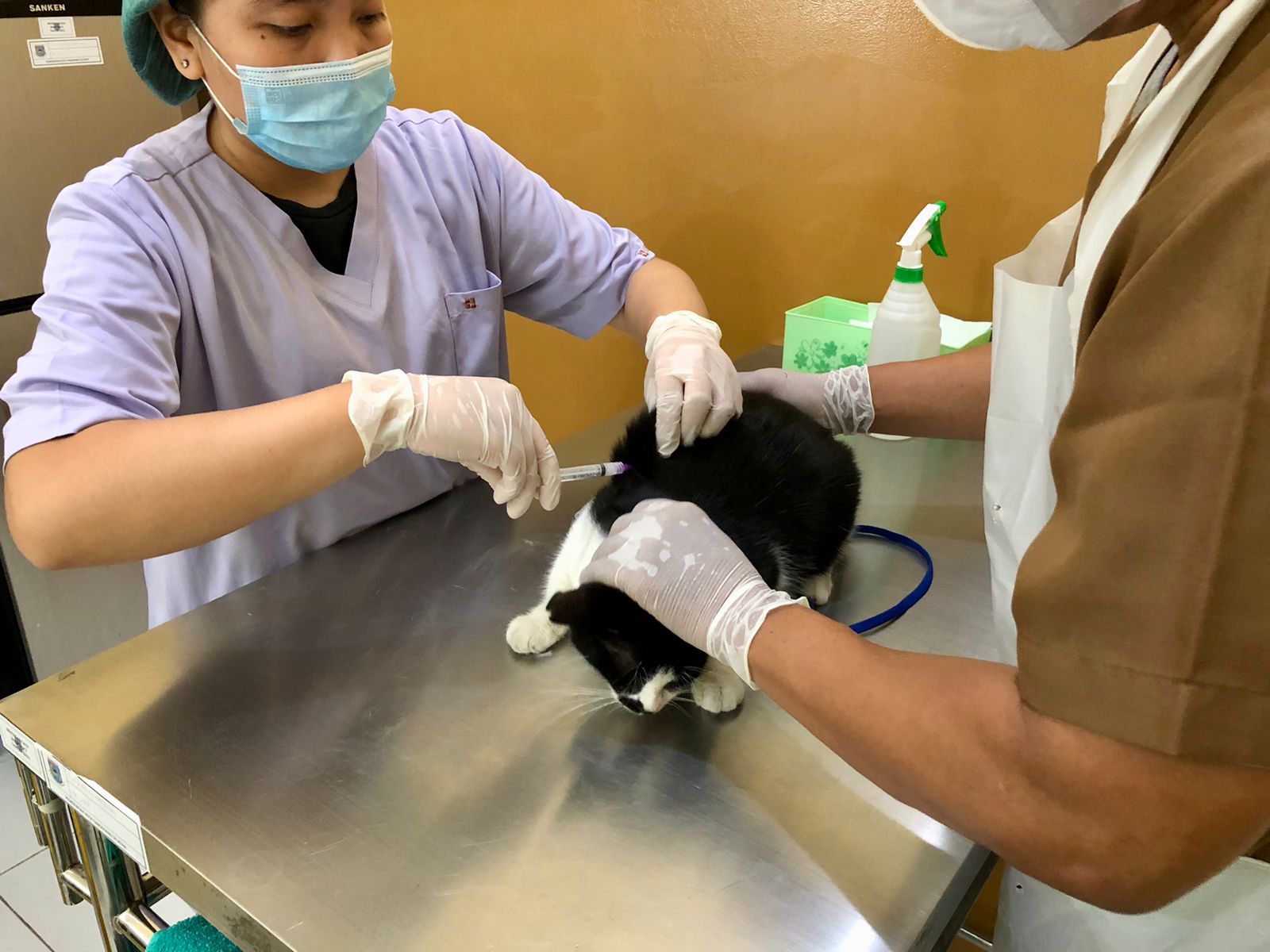 Peringati Hari Rabies Sedunia, Puskeswan Tangsel Gelar Vaksinasi Massal Foto : Mg.2