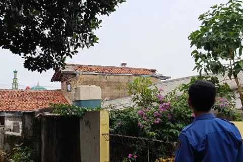 Serangan Monyet Liar di Depok, Bocah 7 Tahun Alami Luka Foto : Ist