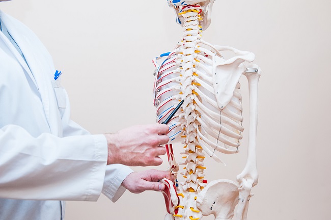 Tak Hanya Kalsium, Ini Zat yang Diperlukan Agar Terhindar Risiko Osteoporosis Foto : Ist