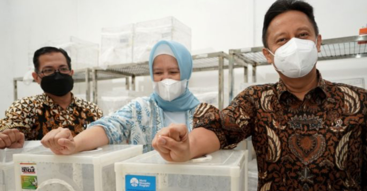 Disebar Untuk Tekan Kasus DBD, Nyamuk Wolbachia Bukan Hasil Rekayasa Genetik Foto : Ist
